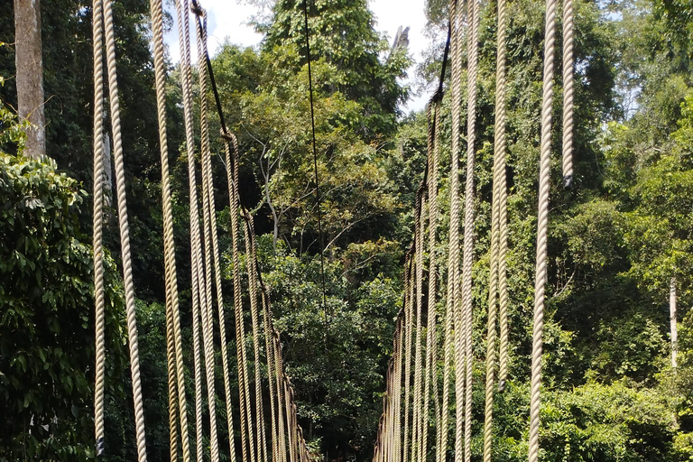 أكرا: جولة إرشادية لمدة 7 أيام للتعرف على التاريخ والتراث في غانا