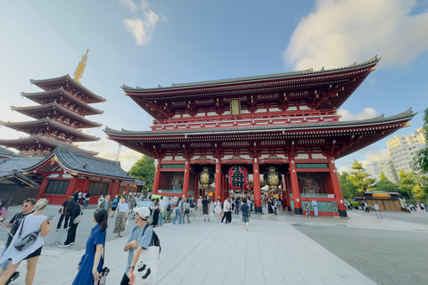 Tokio: Tour privado y personalizable con conductor de habla inglesa