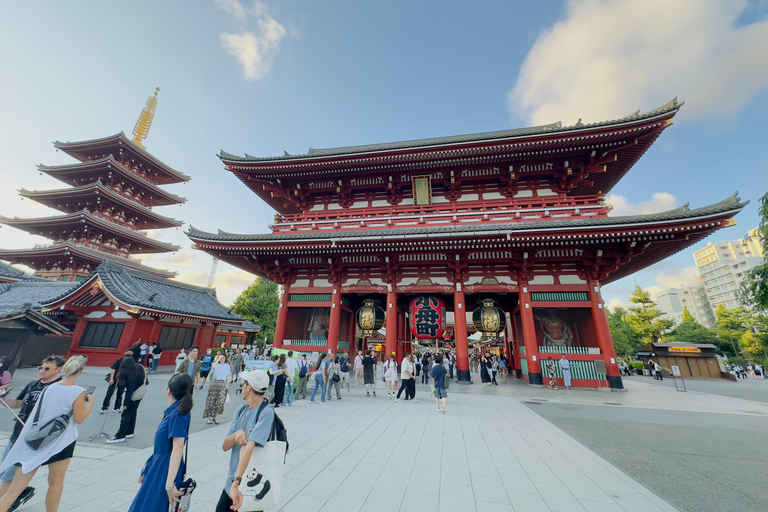 Tokio: Tour privado y personalizable con conductor de habla inglesa