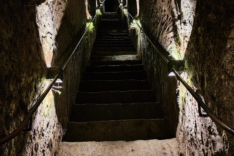 San José: Walk inside themed caves and dine at a viewpoint