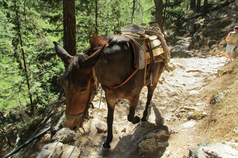 From Chania: Full-Day Samaria Gorge Trek ExcursionFrom Kalyves or Almyrida