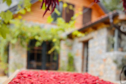 奥赫里德：巴拉克利亚蒸馏厂传统拉基亚品鉴奥赫里德：巴拉克利亚传统拉基亚酒厂品鉴