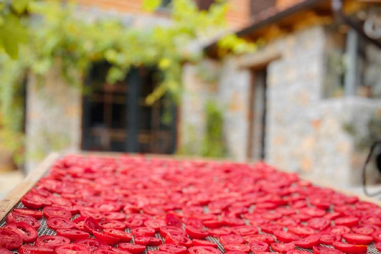 奥赫里德：巴拉克利亚蒸馏厂传统拉基亚品鉴奥赫里德：巴拉克利亚传统拉基亚酒厂品鉴