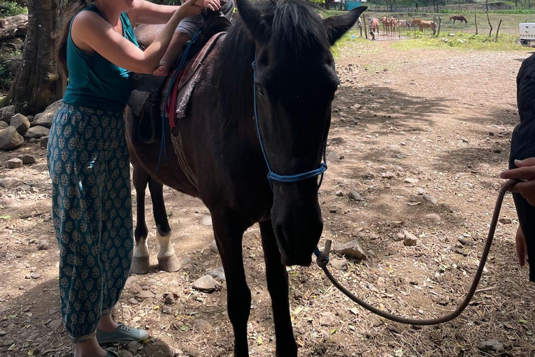 Horseback Ride + Contact Farm in Boquete 2 hours