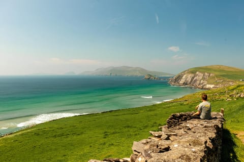 Killarney: Dingle Peninsula and Slea Head Drive Day Trip - Image 2