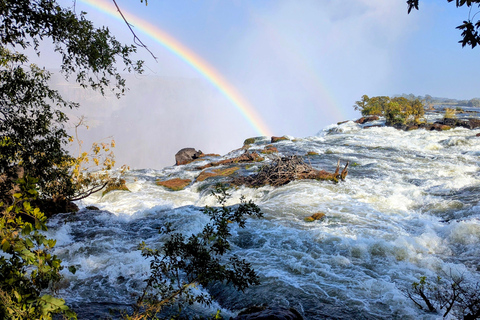 Victoria Falls Cross-Border Tour:Big Tree & Historic Bridge