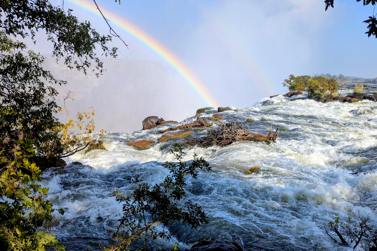 Victoria Falls Cross-Border Tour:Big Tree & Historic Bridge