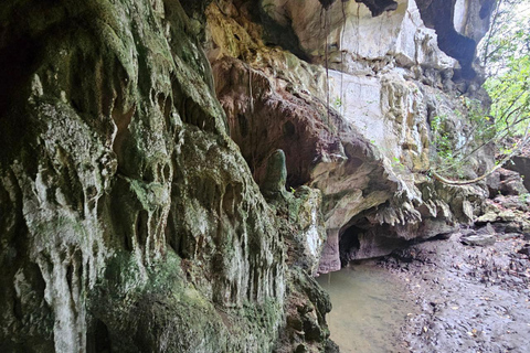 Langkawi: 3-Hour Shared Kilim Geoforest Mangrove Boat Tour
