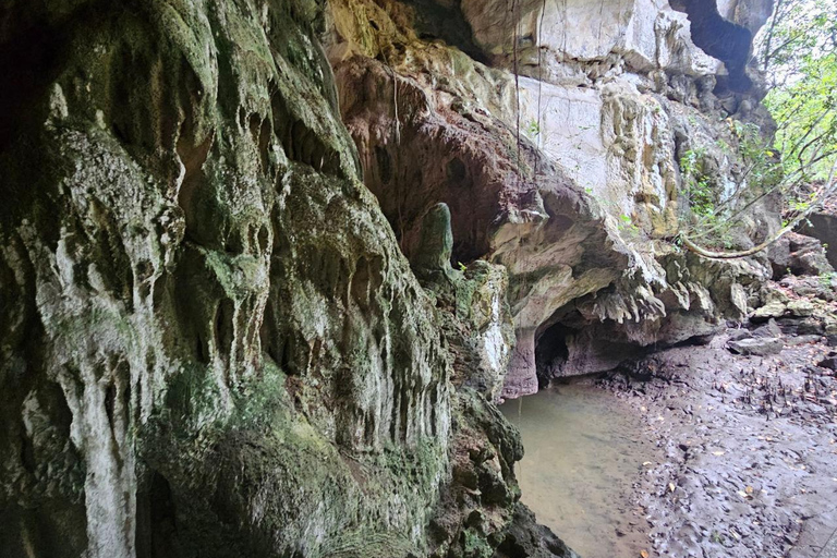 Langkawi: 3-Hour Shared Kilim Geoforest Mangrove Boat Tour
