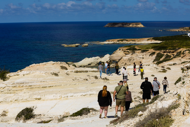 From Paphos: Coral Bay and Lara bay Guided Quad & Buggy Tour 3-Hour Buggy Tour to Lara Bay (3-Seat Buggy)