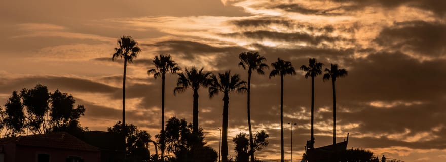 Découvrez Madère à votre façon : visite privée d'une jounée