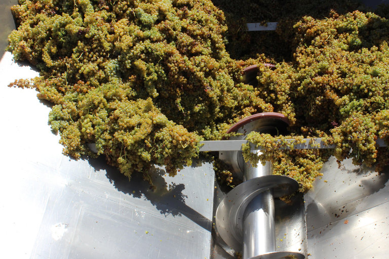 Évora: Jeep Vineyards Tour with Regional Wine & Food Tasting