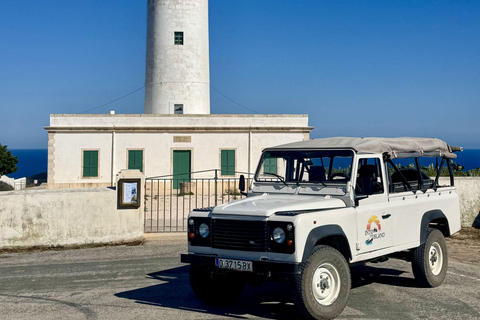 Formentera: Hidden Spots Tour in Land Rover Defender Formentera: Hidden Spots Tour in a Land Rover Defender