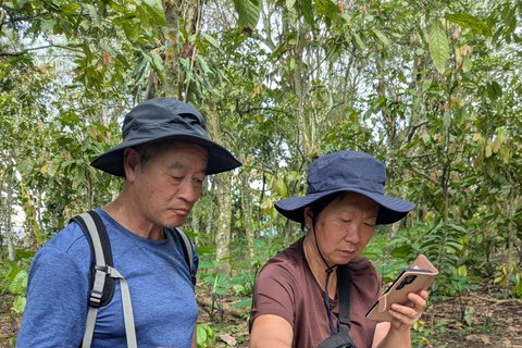 From Accra: Shia Hills Safari, Boat Cruise & Cocoa Farm Tour