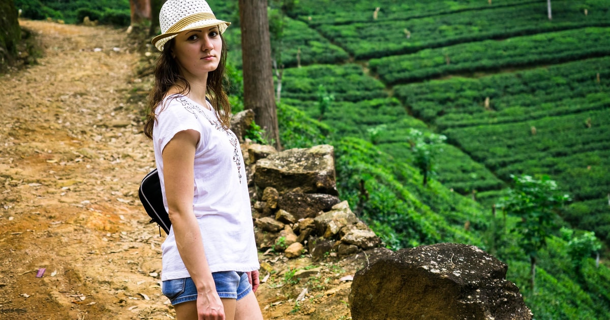 Ella Tea Factory, Train, and Nine Arch Day Tour with Pickup GetYourGuide