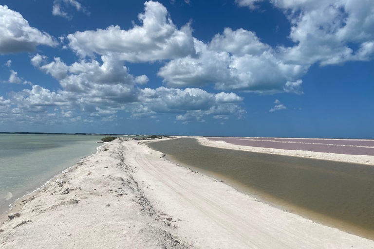 Flamingo Classic: Rio Lagartos and Las Coloradas