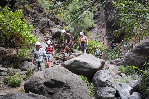 Sentier des gorges de Masca : Randonnée guidée