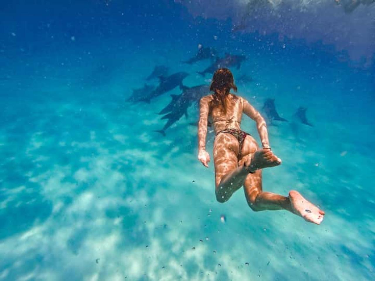 Sansibar: Mnemba-Atoll Schnorcheltour mit Mittagessen