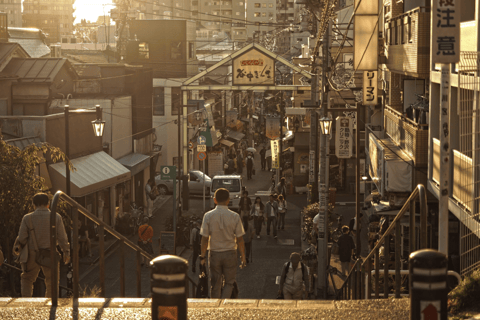 Tokyo: Old Tokyo Walk with Yanaka Retro Street & Nezu Shrine