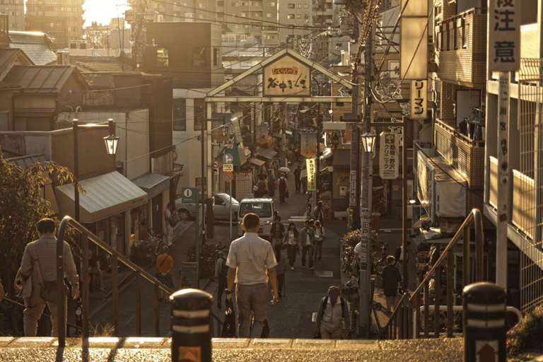 Tokyo: Old Tokyo Walk with Yanaka Retro Street & Nezu Shrine