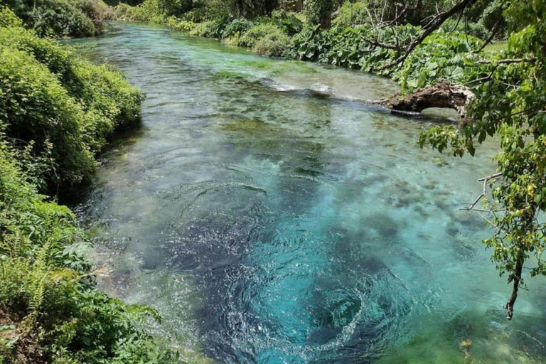 De Tirana/Durrës a Saranda, Ksamil, excursión de un día al Ojo Azul