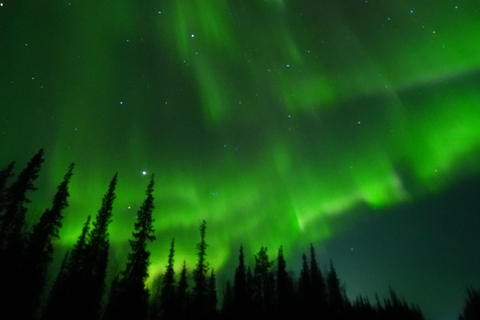 From Kiruna: Abisko National Park Northern Lights Tour