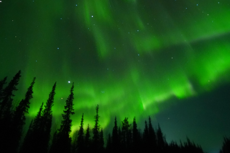 From Kiruna: Abisko National Park Northern Lights Tour