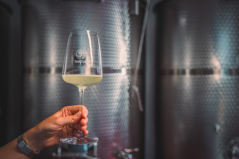 Ledro Lake: Guided Tour & Wine Tasting Among the Vines English