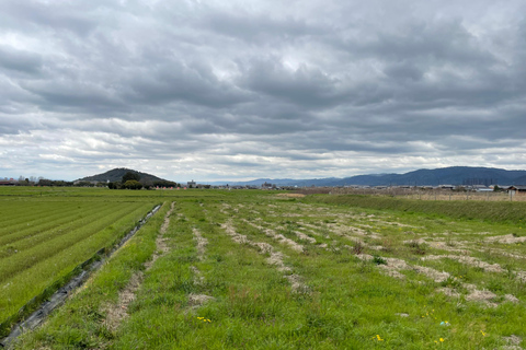 Asuka: Discover Origin of Japan–Historical Site and Nature