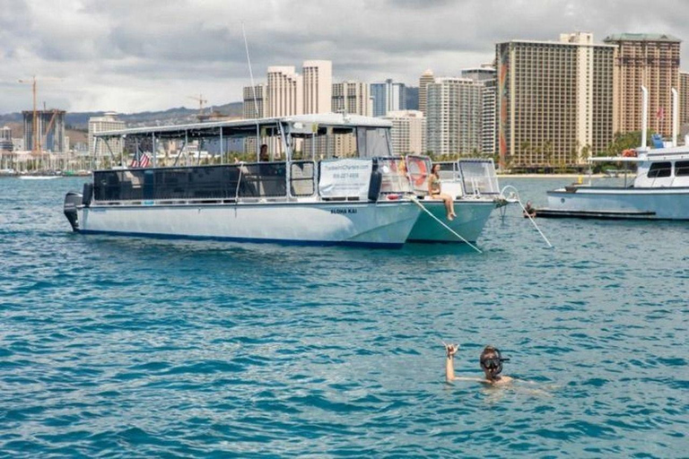 Honolulu: Group Snorkel Cruise with Marine Life Spotting
