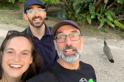 Queer Lisbon History Tour: scene/history Queer Lisbon: 1/2-day walking tour: scene/history