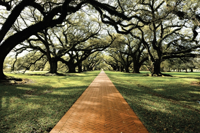 New Orleans: Plantation Visit and Pontoon Swamp Tour Oak Alley Plantation and Pontoon Swamp Tour