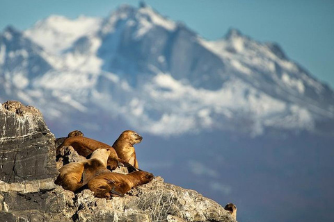 Beagle Channel on yacht with minitrekking