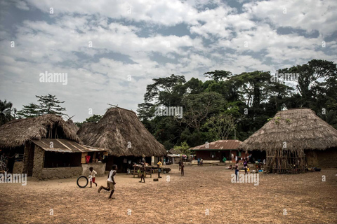 Sierra Leone: Guided Tour with National Museum Entry