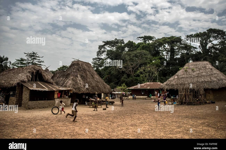 Sierra Leone: Guided Tour with National Museum Entry