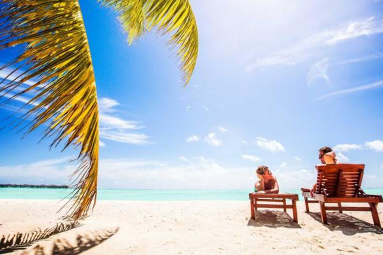 Punta Cana: Excursão de dia inteiro à Isla Saona com almoço buffet