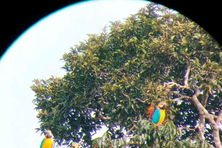 VIAGEM DE SOBREVIVÊNCIA NA AMAZÓNIAVIAGEM DE SOBREVIVÊNCIA NA AMAZÔNIA