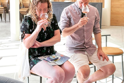 Giro in ebike dei vini e dei formaggi della Touraine, con degustazione nei vigneti