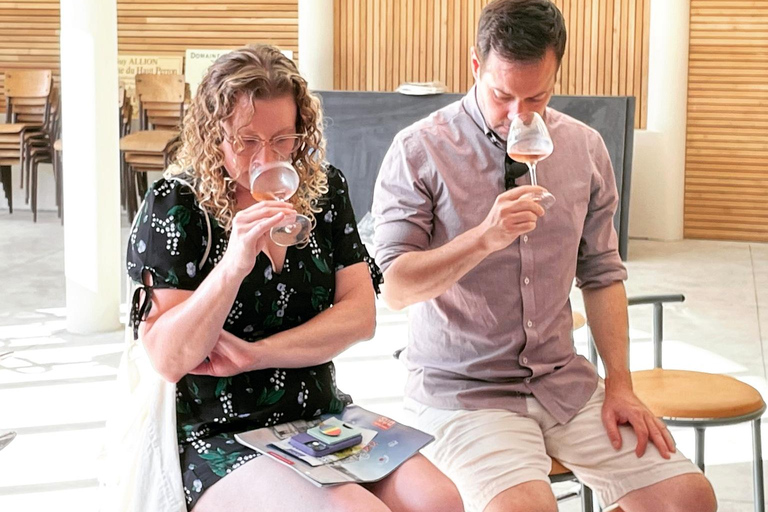 Giro in ebike dei vini e dei formaggi della Touraine, con degustazione nei vigneti