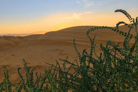 Djerba: Eine Nacht in Berberzelten.