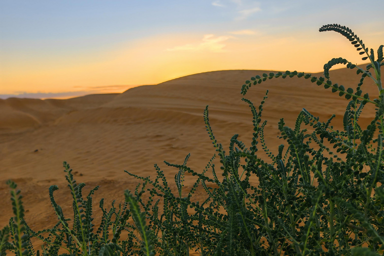 Djerba: Eine Nacht in Berberzelten.