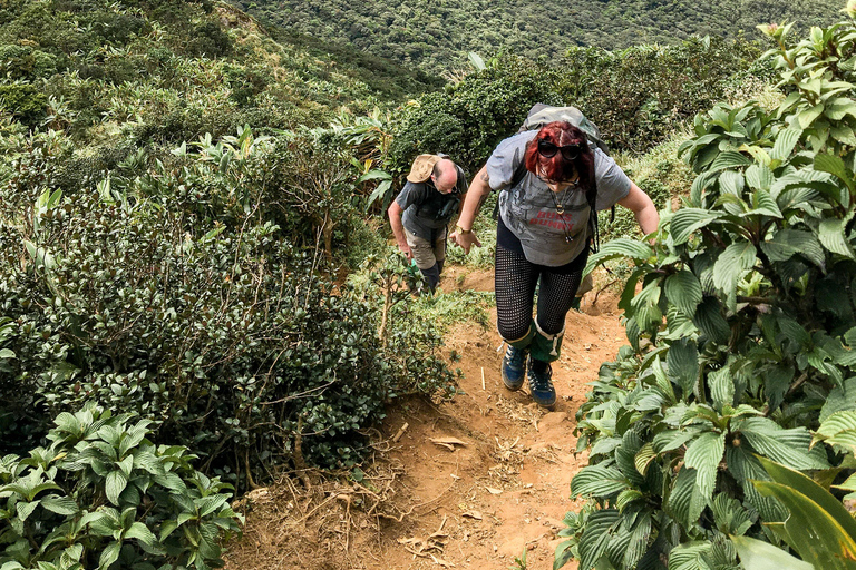 康提：纳克尔斯山脉徒步之旅（含午餐）