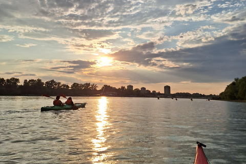 Belgrade: Sunset Kayak Adventure