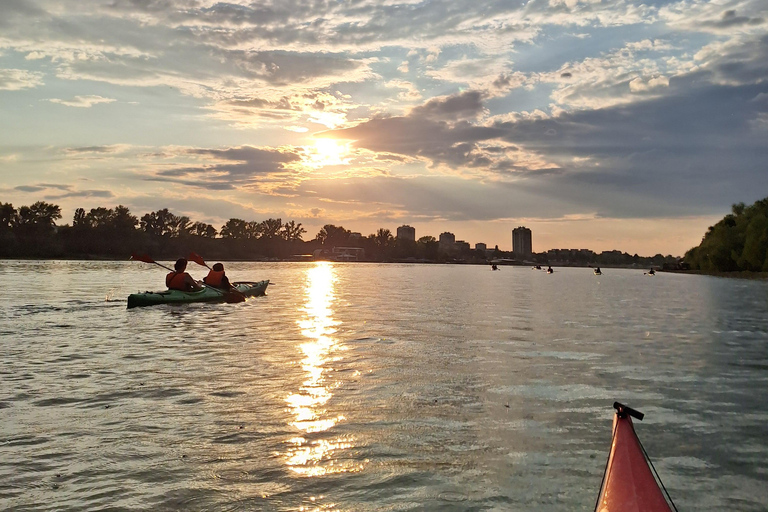 Belgrade: Sunset Kayak Adventure