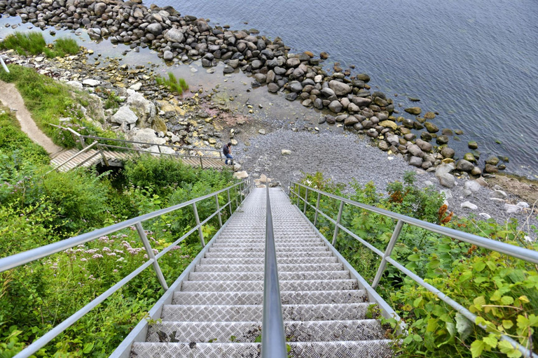 Fast-Track UNESCO Stevns Klint - Kopenhagen Tagesausflug mit dem Auto5 Stunden: Stevns Klint von Kopenhagen aus mit dem Auto