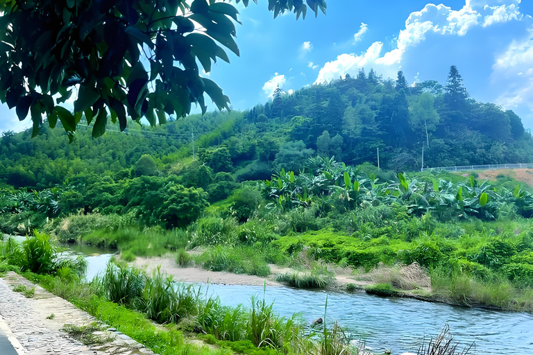 Guangzhou Conghua: One-Day Chartered Guide in Xitou Village