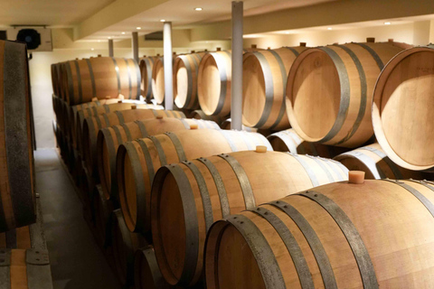 Santorini Wine Tasting & Premium Lunch at AwardWinningWinery
