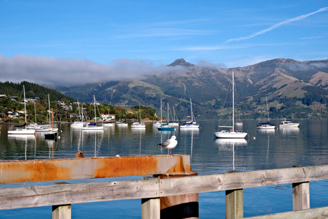 Christchurch to Akaroa Scenic One-Way Transfer