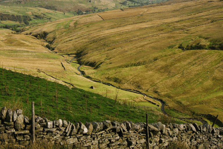 Yorkshire Dales Tour från YorkYorkshire Dales-turen från York