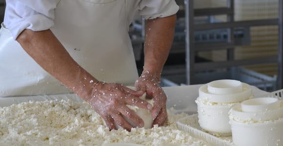 Private Cheese, Wine & Tiles: A Hands-On Lisbon Experience